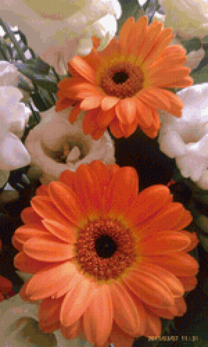 Цветы, герберы - оранжевый цветок, цветы, гербера - предпросмотр