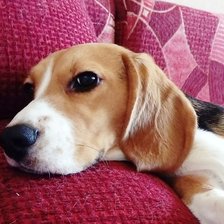 Схема вышивки «Меланж»