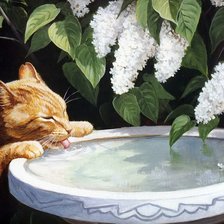 Схема вышивки «№2151594»