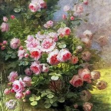 Схема вышивки «розы»