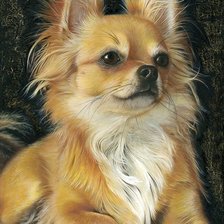 Схема вышивки «Собачка»