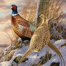 Схема вышивки «золотые фазаны»