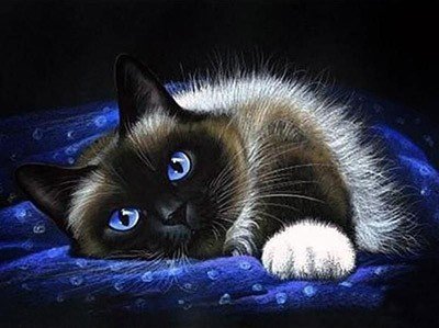 котик - мордочка, лежит, котик - оригинал