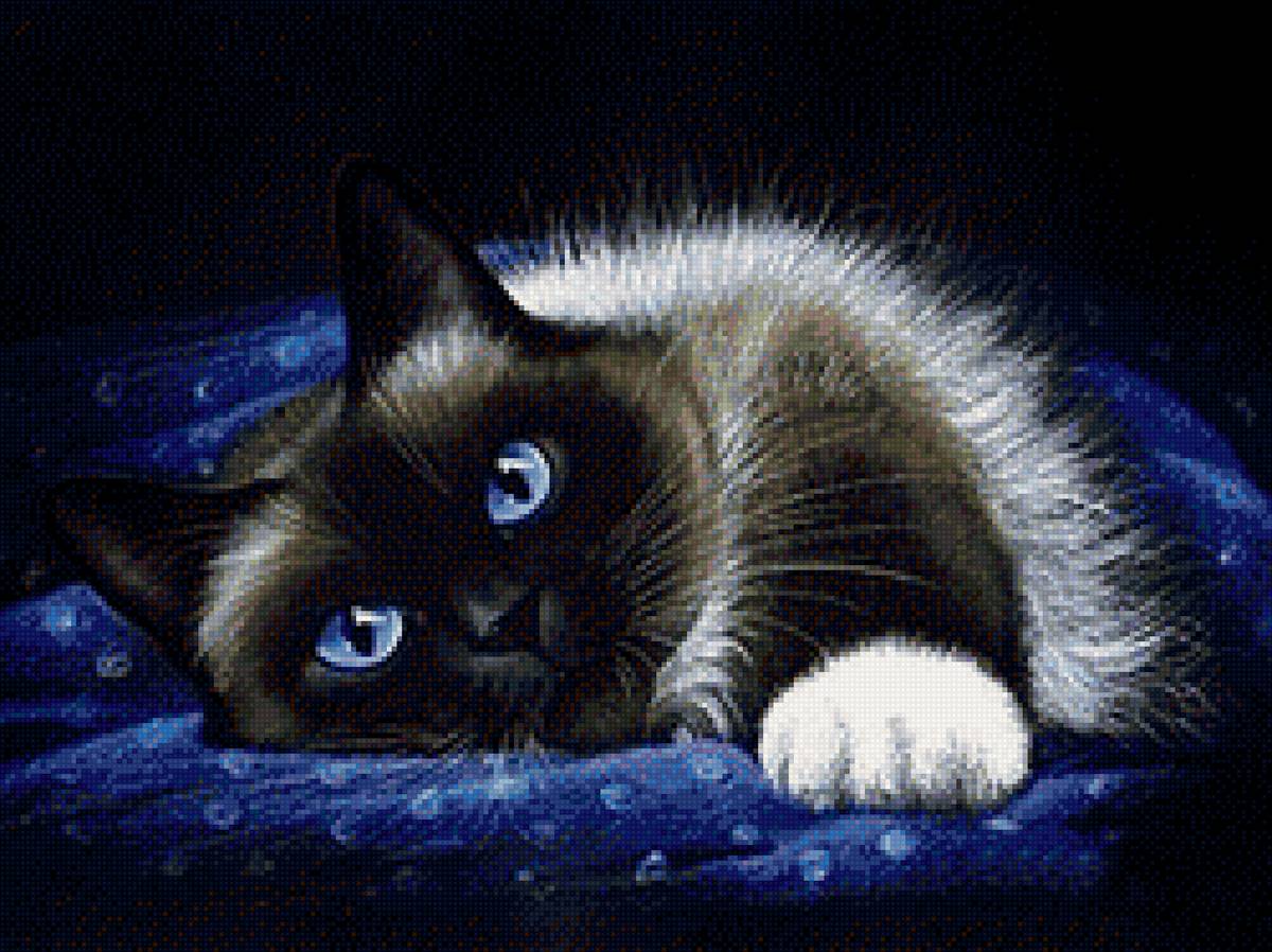 котик - лежит, мордочка, котик - предпросмотр