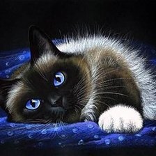 Схема вышивки «котик»