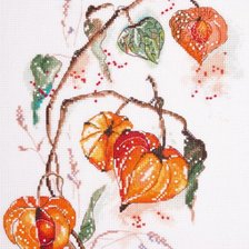 Схема вышивки «физалис»