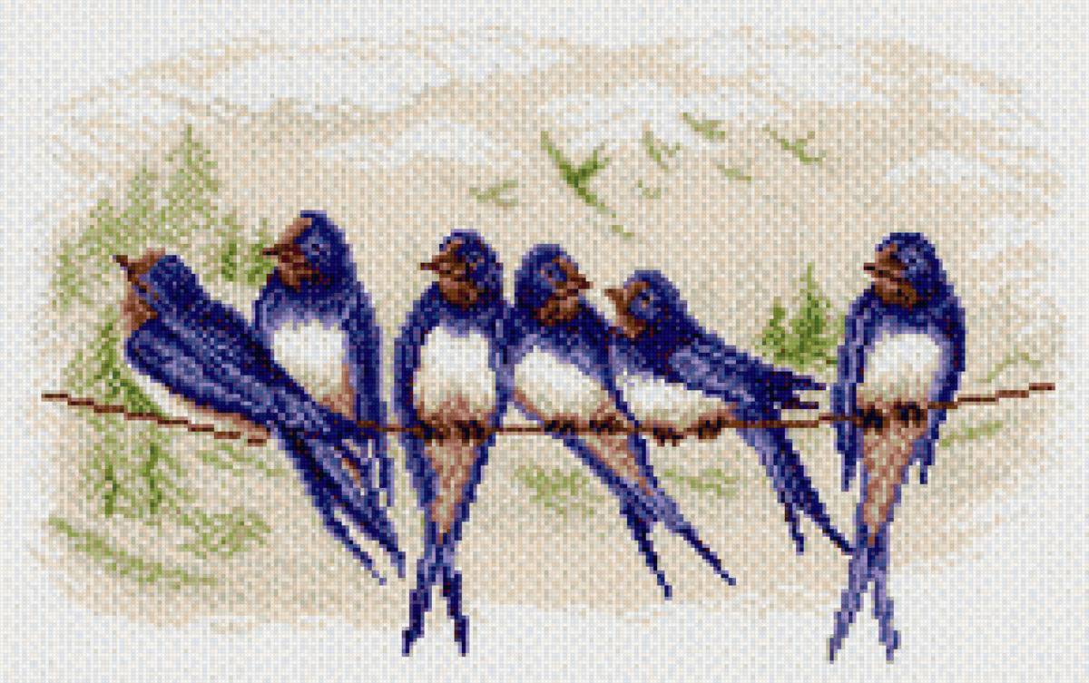 ласточки - ласточки - предпросмотр