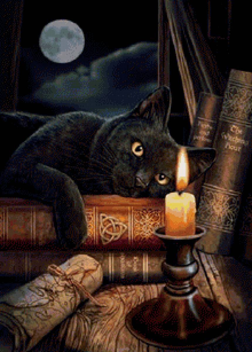 черный кот - черный кот, лежит, мордочка, глаза - предпросмотр