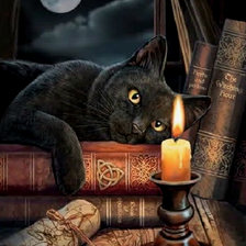 Схема вышивки «черный кот»