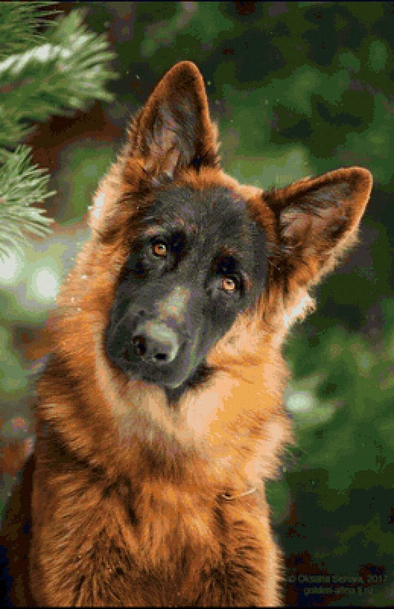 951357 - предпросмотр