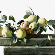 Схема вышивки «manzanas»