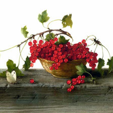 Схема вышивки «grosellas 2»