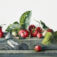 Схема вышивки «fresas y libelula»