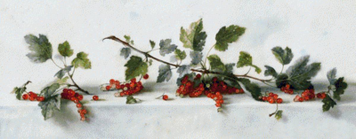 grosellas 4 - frutas - предпросмотр