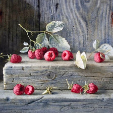 Схема вышивки «frambuesas y mariposa»