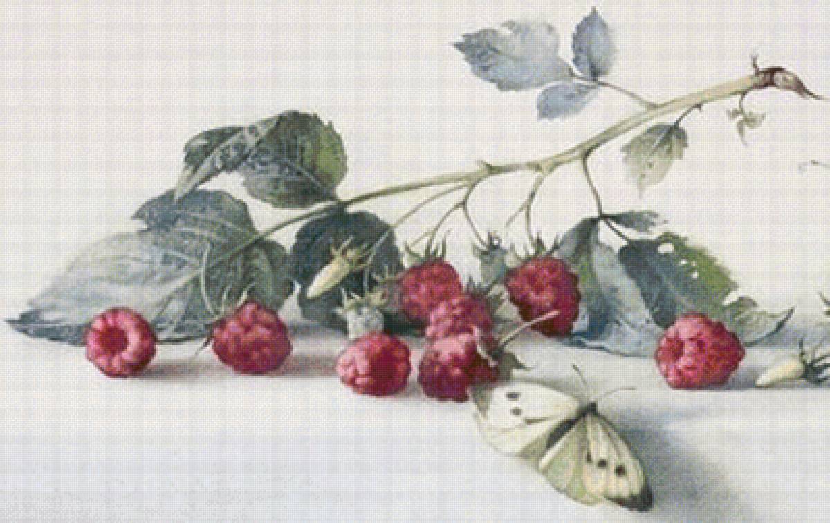 frambuesas y mariposa 2 - frutas - предпросмотр