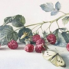 Схема вышивки «frambuesas y mariposa 2»