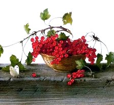 Схема вышивки «grosellas y mariposa 3»