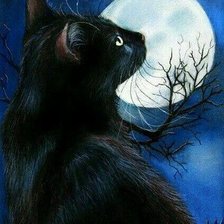 Схема вышивки «черный кот»