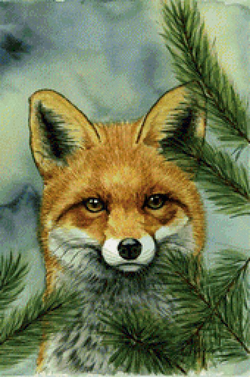 Рыжая красавица - лиса, животные - предпросмотр