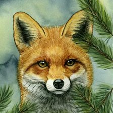 Рыжая красавица