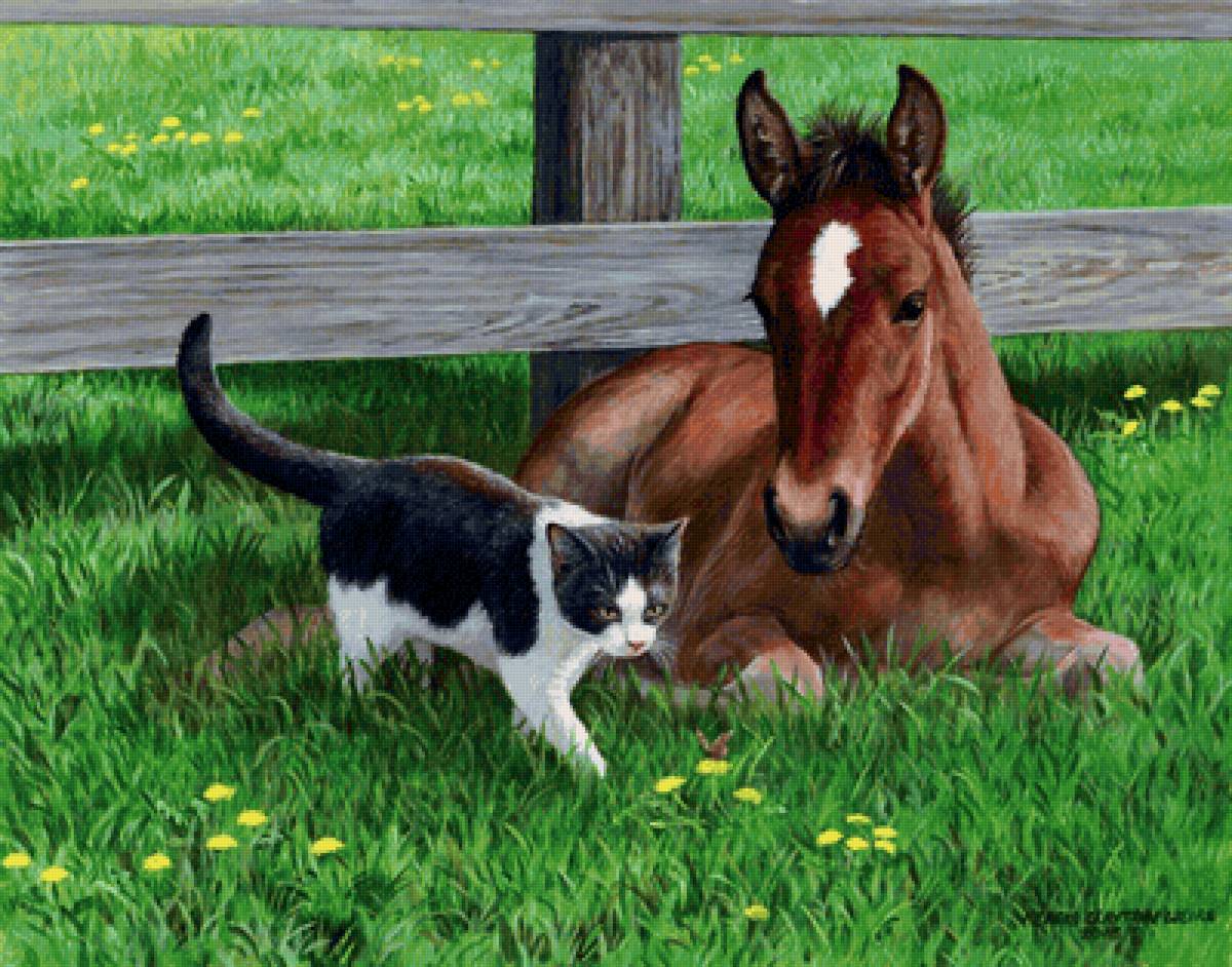 №2152484 - жеребенок, котенок - предпросмотр