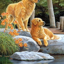 Схема вышивки «№2152485»