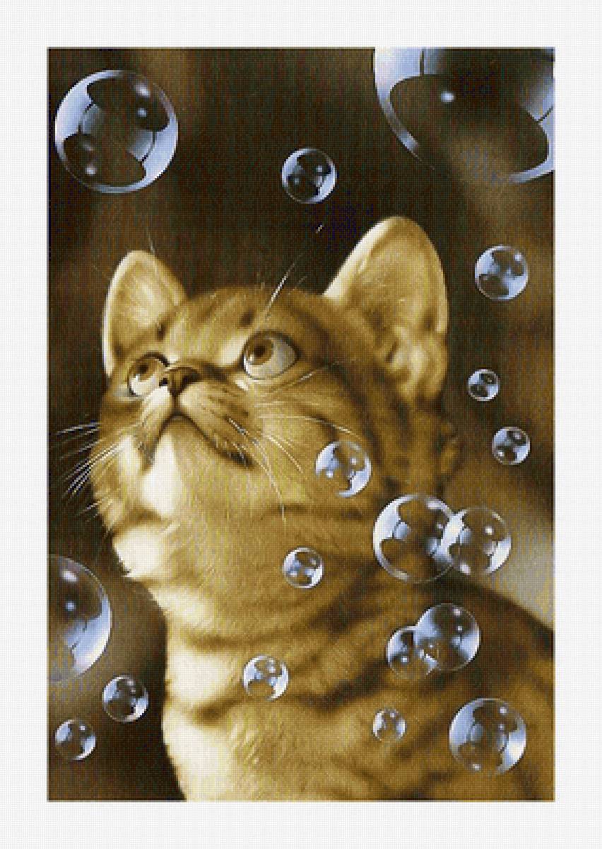 Серия "Коты". - мультяшки, коты, животные - предпросмотр