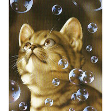 Схема вышивки «Серия "Коты".»