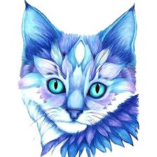 Схема вышивки «кот»