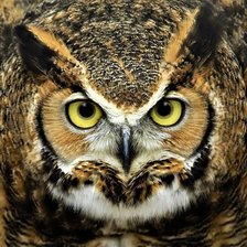 Схема вышивки «№2152848»