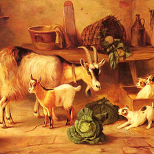 Схема вышивки «№2152852»