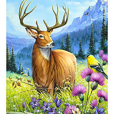 Схема вышивки «Олень.»