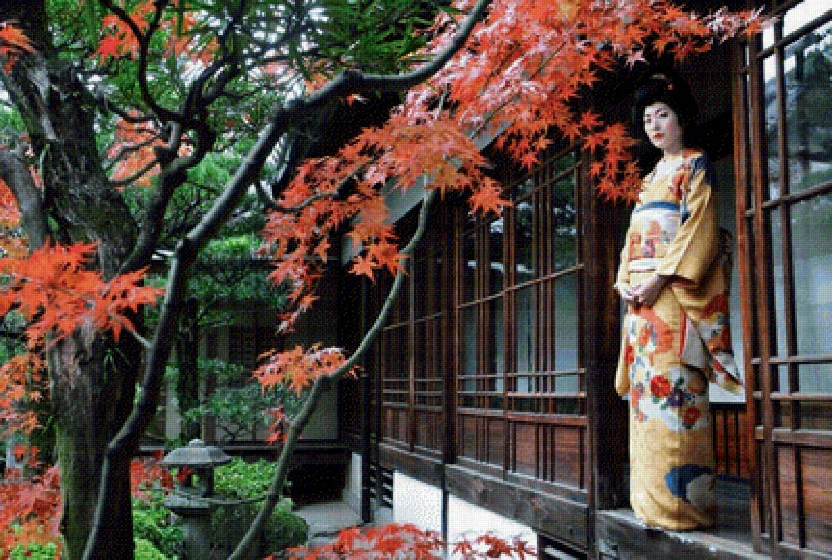 краски осени - женщина, кимоно, клен, япония - предпросмотр