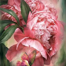 Схема вышивки «Пион и бабочка»