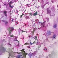 Схема вышивки «№2153704»