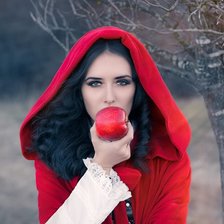 Схема вышивки «Белоснежка»