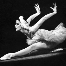 Схема вышивки «Майя Плисецкая. Лебедь»