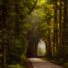 Схема вышивки «lars van de gor»