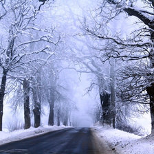 Схема вышивки «lars van de gor»