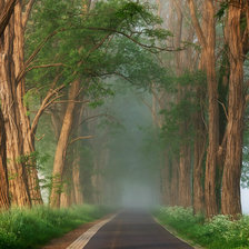 Схема вышивки «lars van de gor»