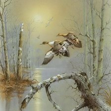 Схема вышивки «№2153978»