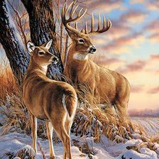 Схема вышивки «Олени»