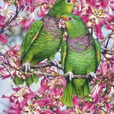 Схема вышивки «Papagaios.»