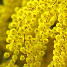 Схема вышивки «№2154193»