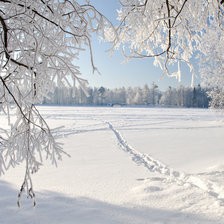 Схема вышивки «№2154198»