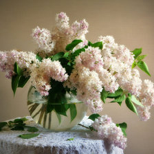 Схема вышивки «№2154240»