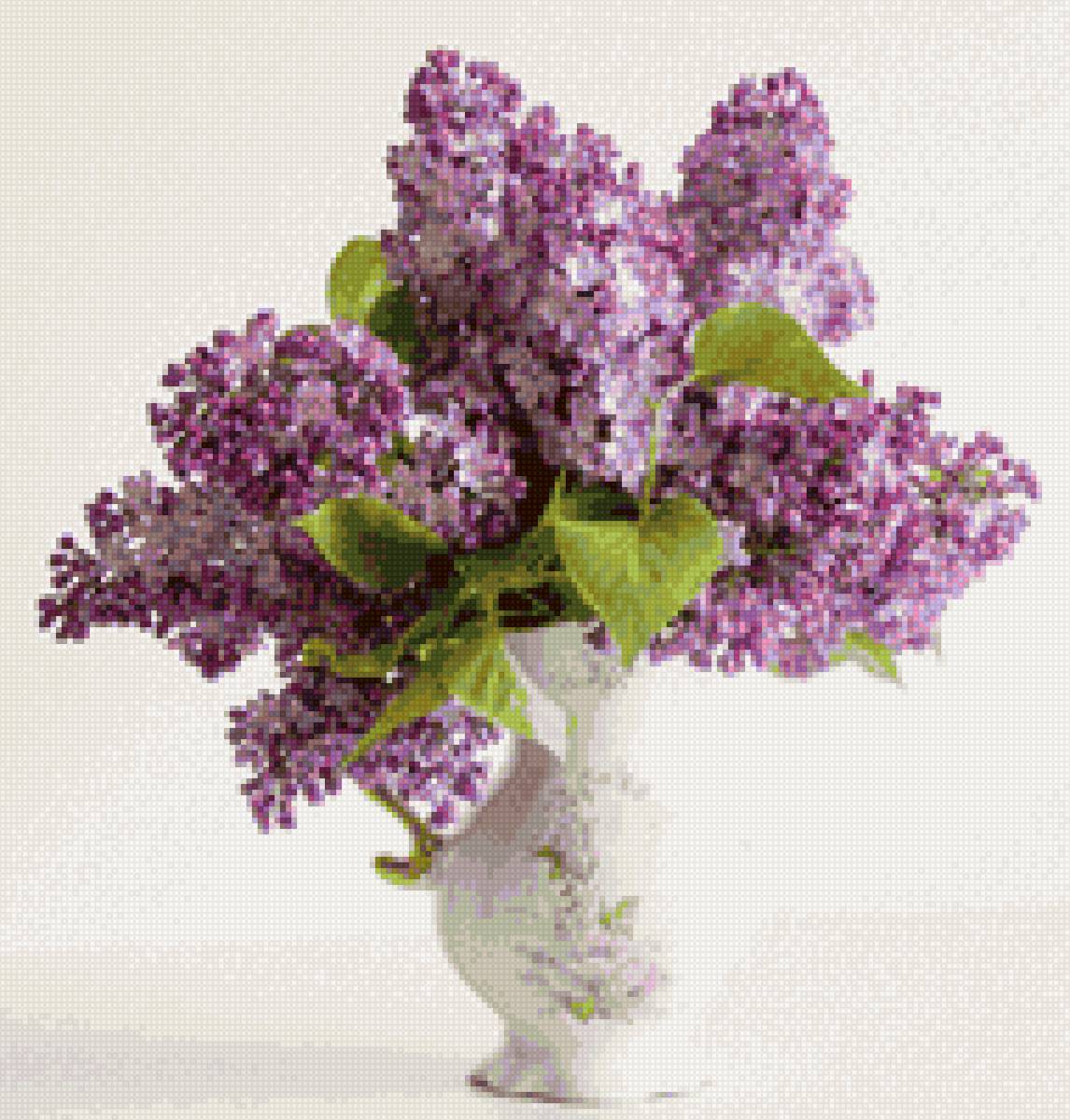 №2154263 - сирень - предпросмотр