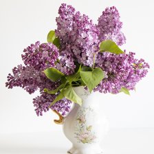 Схема вышивки «№2154263»