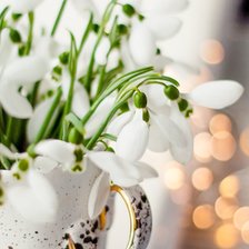 Схема вышивки «№2154509»